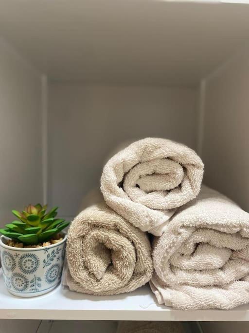 Apartamento Centro 格拉纳达 外观 照片
